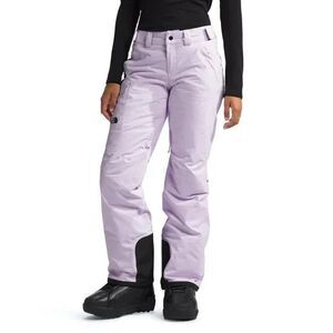 The North Face Freedom Insulated Waterproof Snow Pants Icy Lilac XXL Short $200